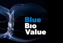 blue bioeconomy