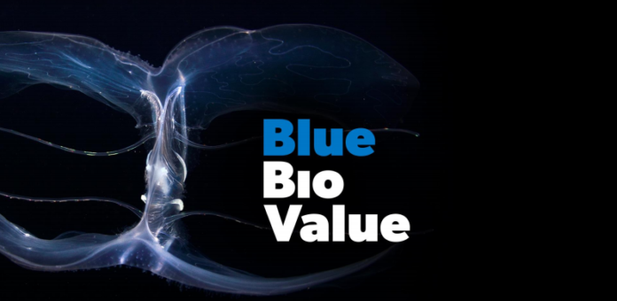 blue bio value blue bioeconomy