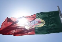 study portugal startup ecosystem