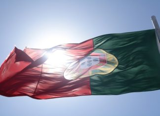 study portugal startup ecosystem