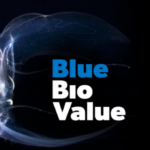 blue-bio-value-696×340